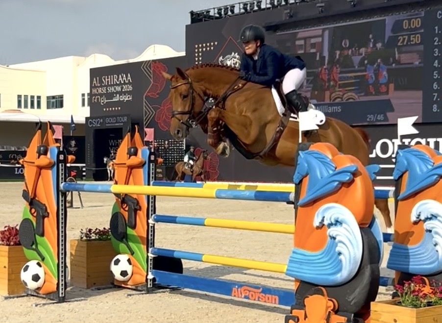 Showjumping horse and rider clearing a fence at Al Shira'aa Horse Show, Abu Dhabi